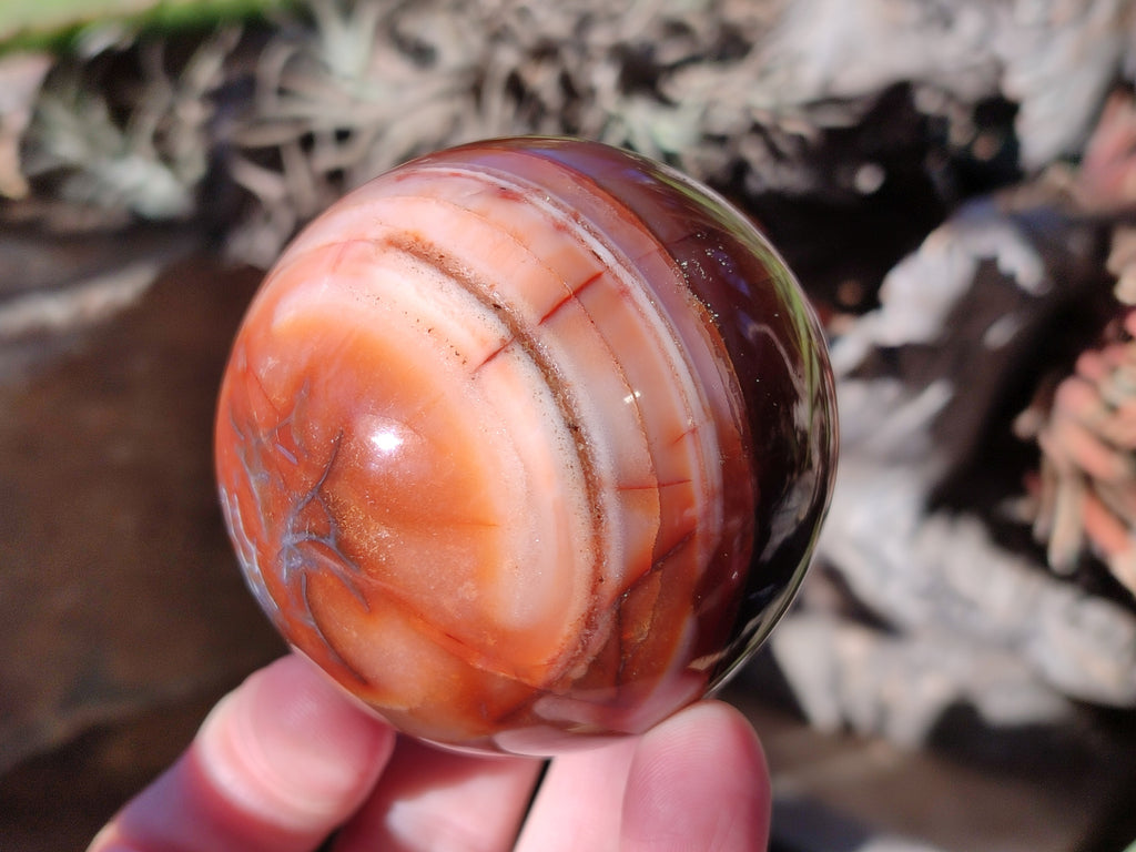 Polished Carnelian Agate Spheres x 3 From Madagascar - Toprock Gemstones and Minerals 