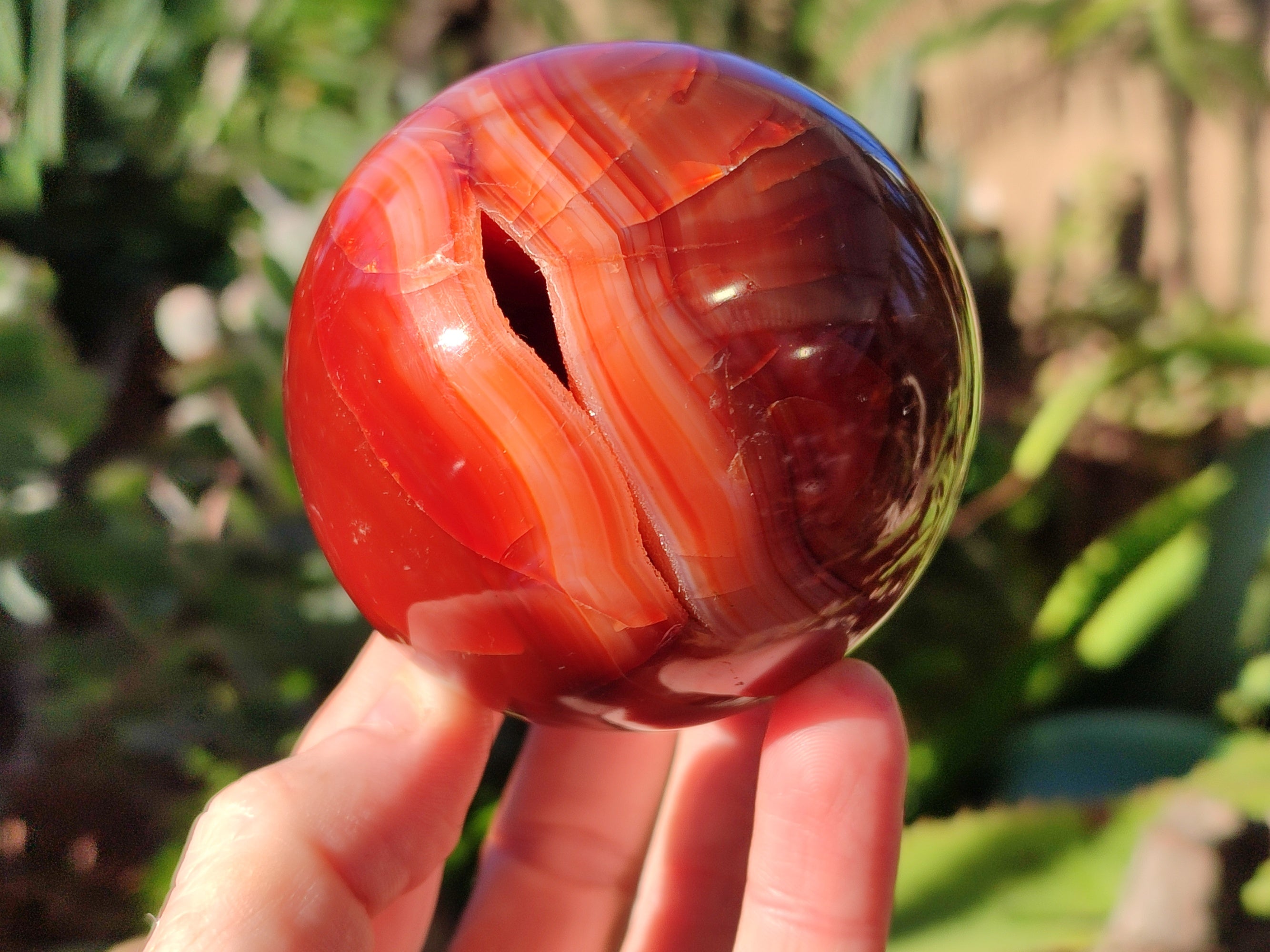 Polished Carnelian Agate Spheres x 3 From Madagascar - Toprock Gemstones and Minerals 