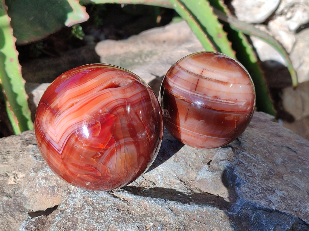 Polished Carnelian Agate Spheres x 3 From Madagascar - Toprock Gemstones and Minerals 