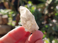 Natural Drusy Quartz Coated Calcite Pseudomorph Specimens x 70 From Alberts Mountain, Lesotho