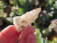 Natural Drusy Quartz Coated Calcite Pseudomorph Specimens x 70 From Alberts Mountain, Lesotho