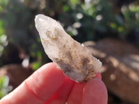 Natural Drusy Quartz Coated Calcite Pseudomorph Specimens x 70 From Alberts Mountain, Lesotho