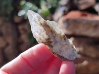 Natural Drusy Quartz Coated Calcite Pseudomorph Specimens x 70 From Alberts Mountain, Lesotho