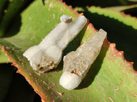 Natural Drusy Quartz Coated Calcite Pseudomorph Specimens x 70 From Alberts Mountain, Lesotho