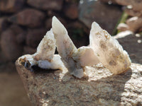 Natural Drusy Quartz Coated Calcite Pseudomorph Specimens x 70 From Alberts Mountain, Lesotho