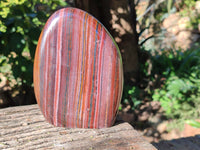 Polished Banded Tiger Iron Jasper Standing Free Forms x 2 From South Africa - Toprock Gemstones and Minerals 