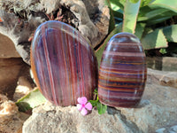 Polished Banded Tiger Iron Jasper Standing Free Forms x 2 From South Africa - Toprock Gemstones and Minerals 