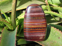 Polished Banded Tiger Iron Jasper Standing Free Forms x 2 From South Africa - Toprock Gemstones and Minerals 