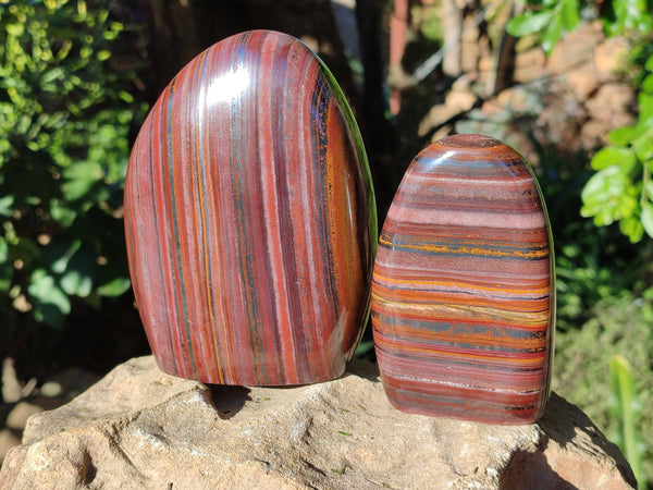 Polished Banded Tiger Iron Jasper Standing Free Forms x 2 From South Africa
