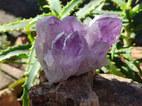 Natural Jacaranda Amethyst Quartz Cluster x 3 From Mumbwa, Zambia