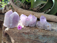 Natural Jacaranda Amethyst Quartz Cluster x 3 From Mumbwa, Zambia
