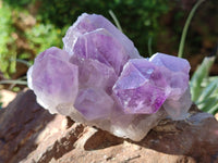 Natural Jacaranda Amethyst Quartz Cluster x 3 From Mumbwa, Zambia