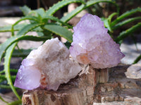 Natural Sunburst Amethyst Spirit Quartz Clusters x 12 From South Africa