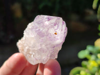 Natural Sunburst Amethyst Spirit Quartz Clusters x 12 From South Africa