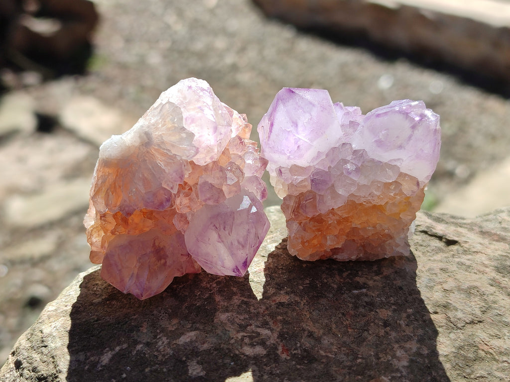 Natural Sunburst Amethyst Spirit Quartz Clusters x 12 From South Africa - Toprock Gemstones and Minerals 