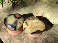 Polished Septerye Hearts x 6 From Mahajanga, Madagascar