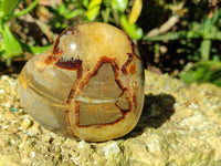 Polished Septerye Hearts x 6 From Mahajanga, Madagascar