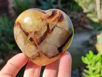 Polished Septerye Hearts x 6 From Mahajanga, Madagascar