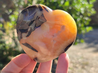 Polished Septerye Hearts x 6 From Mahajanga, Madagascar