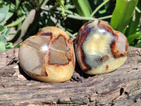 Polished Septerye Hearts x 6 From Mahajanga, Madagascar