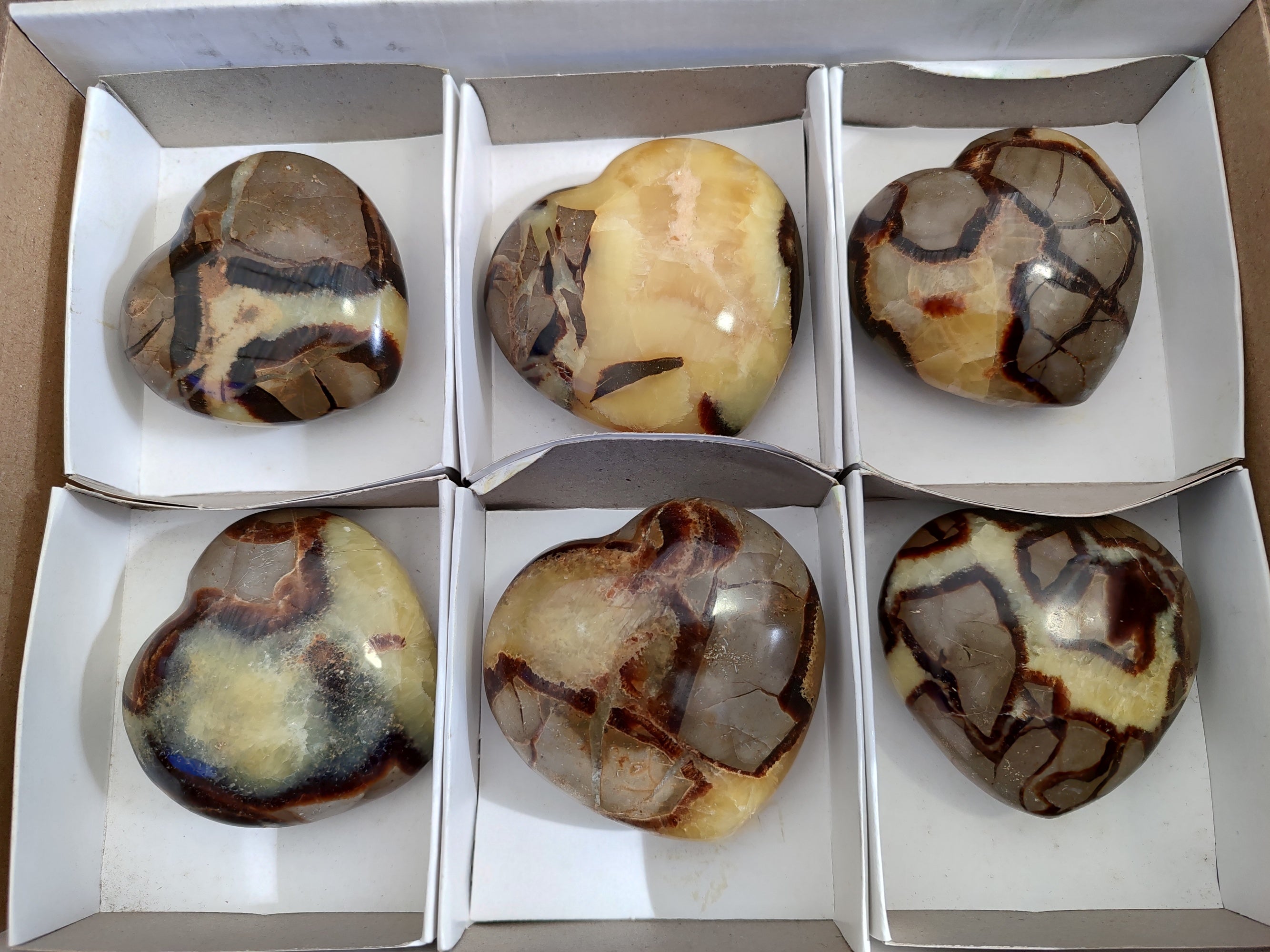 Polished Septerye Hearts x 6 From Mahajanga, Madagascar - Toprock Gemstones and Minerals 