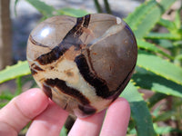 Polished Septerye Hearts x 6 From Mahajanga, Madagascar