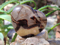 Polished Septerye Hearts x 6 From Mahajanga, Madagascar