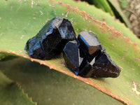 Natural Schorl Black Tourmaline Terminated Crystal Specimens with some Hyalite Opal x 13 From Erongo, Namibia