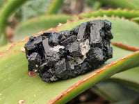 Natural Schorl Black Tourmaline Terminated Crystal Specimens with some Hyalite Opal x 13 From Erongo, Namibia