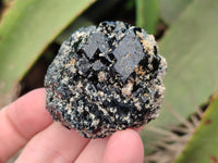 Natural Schorl Black Tourmaline Terminated Crystal Specimens with some Hyalite Opal x 13 From Erongo, Namibia
