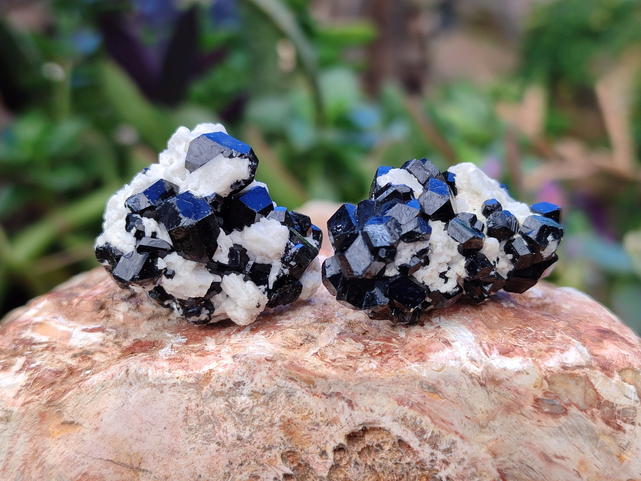 Natural Schorl Black Tourmaline Terminated Crystal Specimens x 70 From Erongo, Namibia - Toprock Gemstones and Minerals 