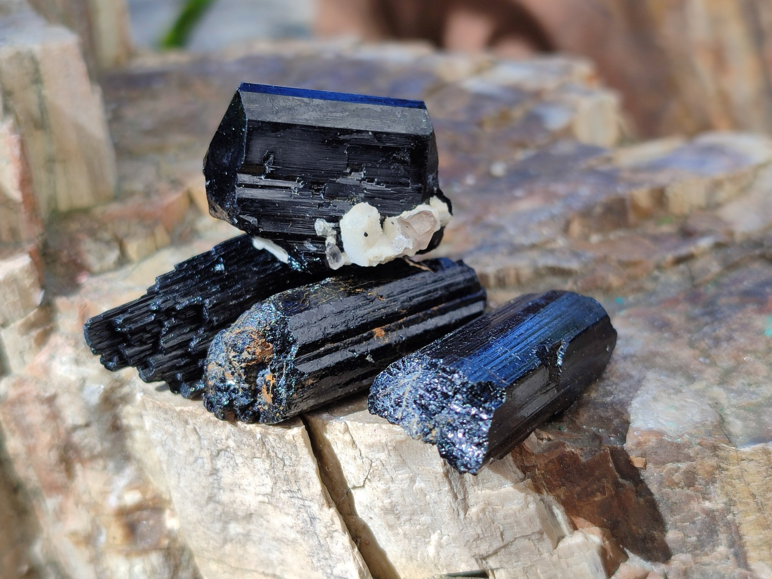 Natural Schorl Black Tourmaline Terminated Crystal Specimens x 70 From Erongo, Namibia - Toprock Gemstones and Minerals 