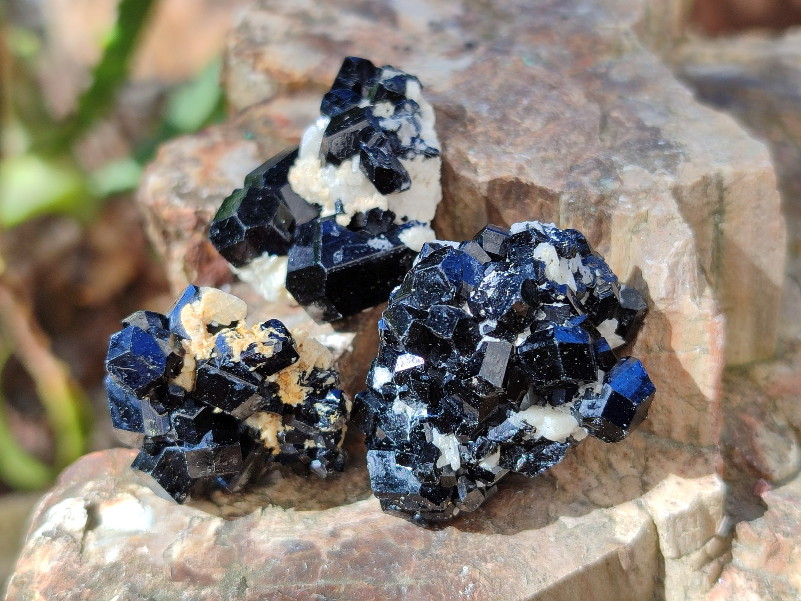 Natural Schorl Black Tourmaline Terminated Crystal Specimens x 70 From Erongo, Namibia - Toprock Gemstones and Minerals 