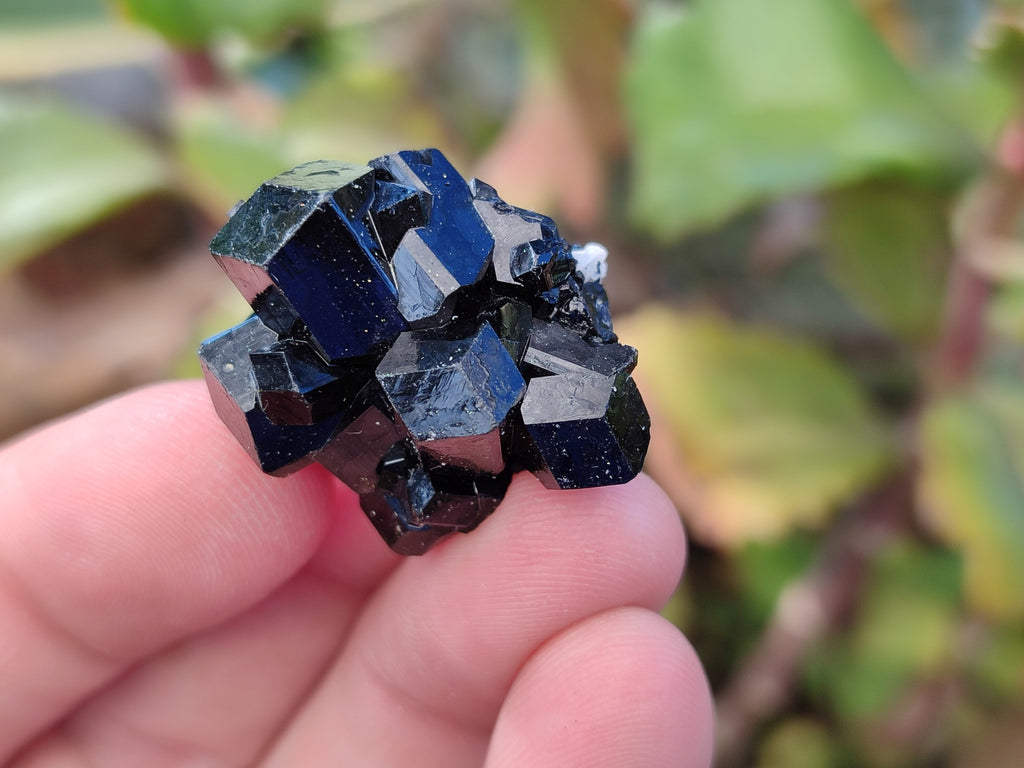 Natural Schorl Black Tourmaline Terminated Crystal Specimens x 70 From Erongo, Namibia - Toprock Gemstones and Minerals 