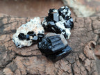 Natural Schorl Black Tourmaline Terminated Crystal Specimens x 70 From Erongo, Namibia - Toprock Gemstones and Minerals 