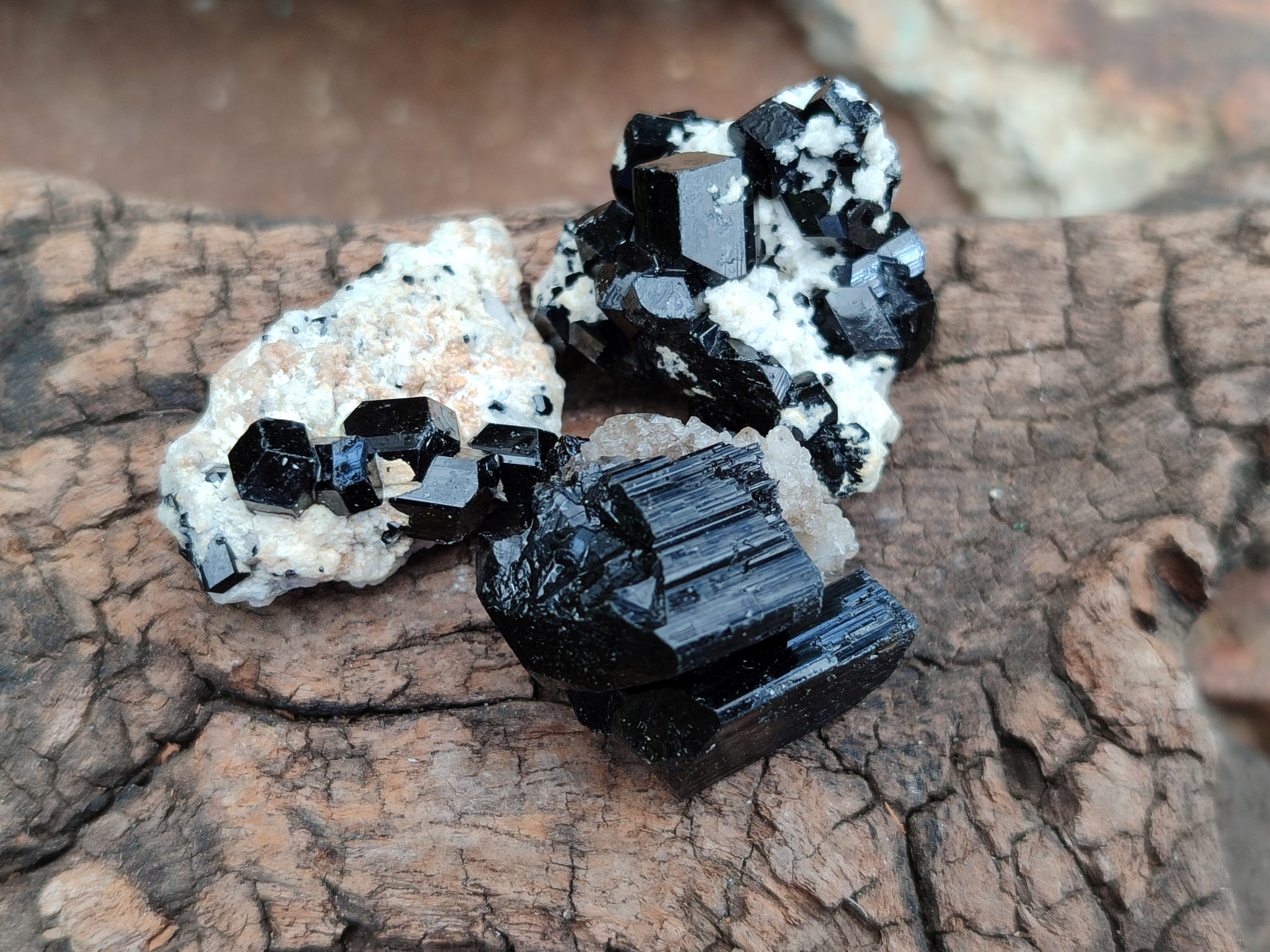 Natural Schorl Black Tourmaline Terminated Crystal Specimens x 70 From Erongo, Namibia - Toprock Gemstones and Minerals 
