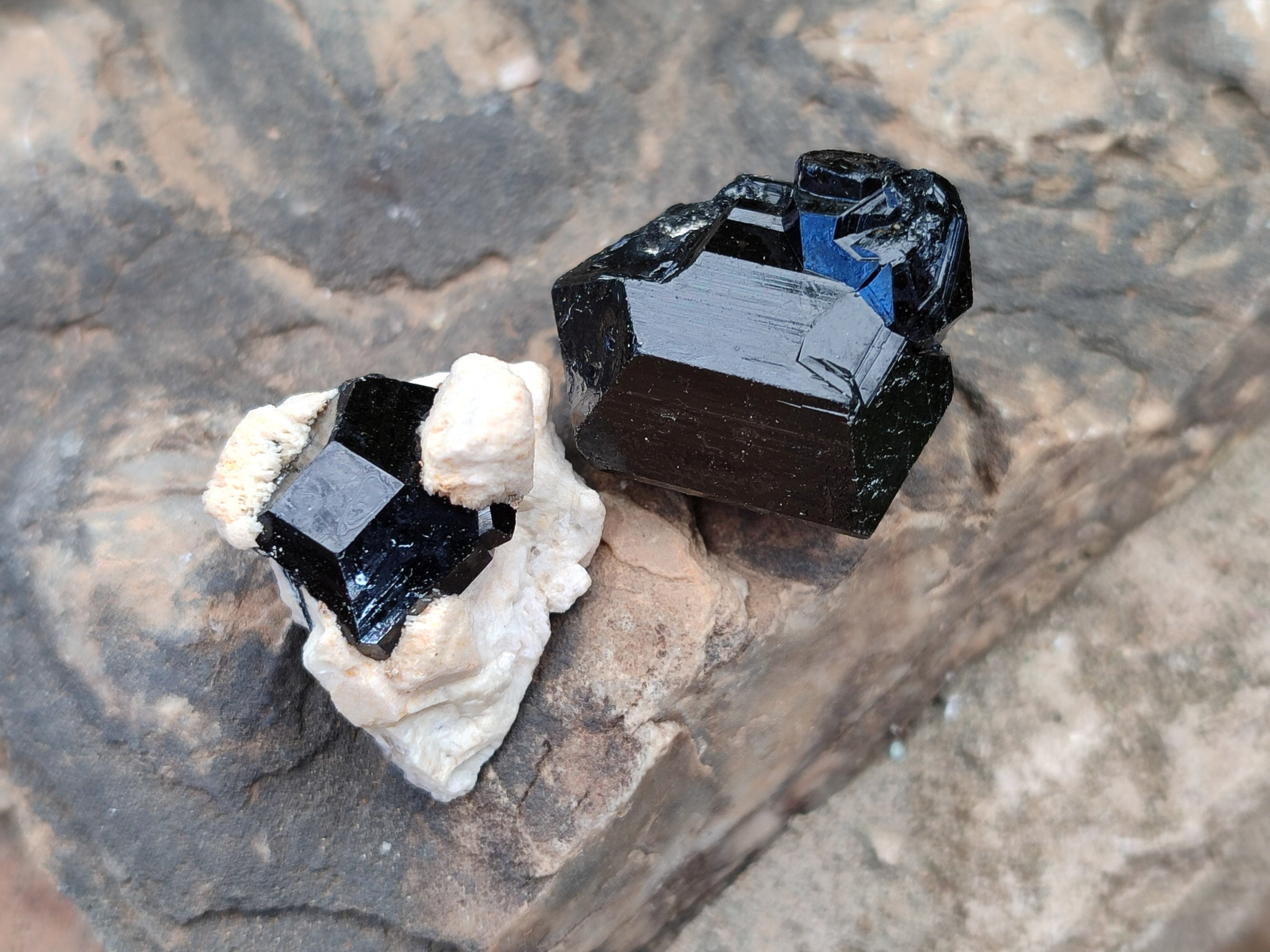 Natural Schorl Black Tourmaline Terminated Crystal Specimens x 70 From Erongo, Namibia - Toprock Gemstones and Minerals 