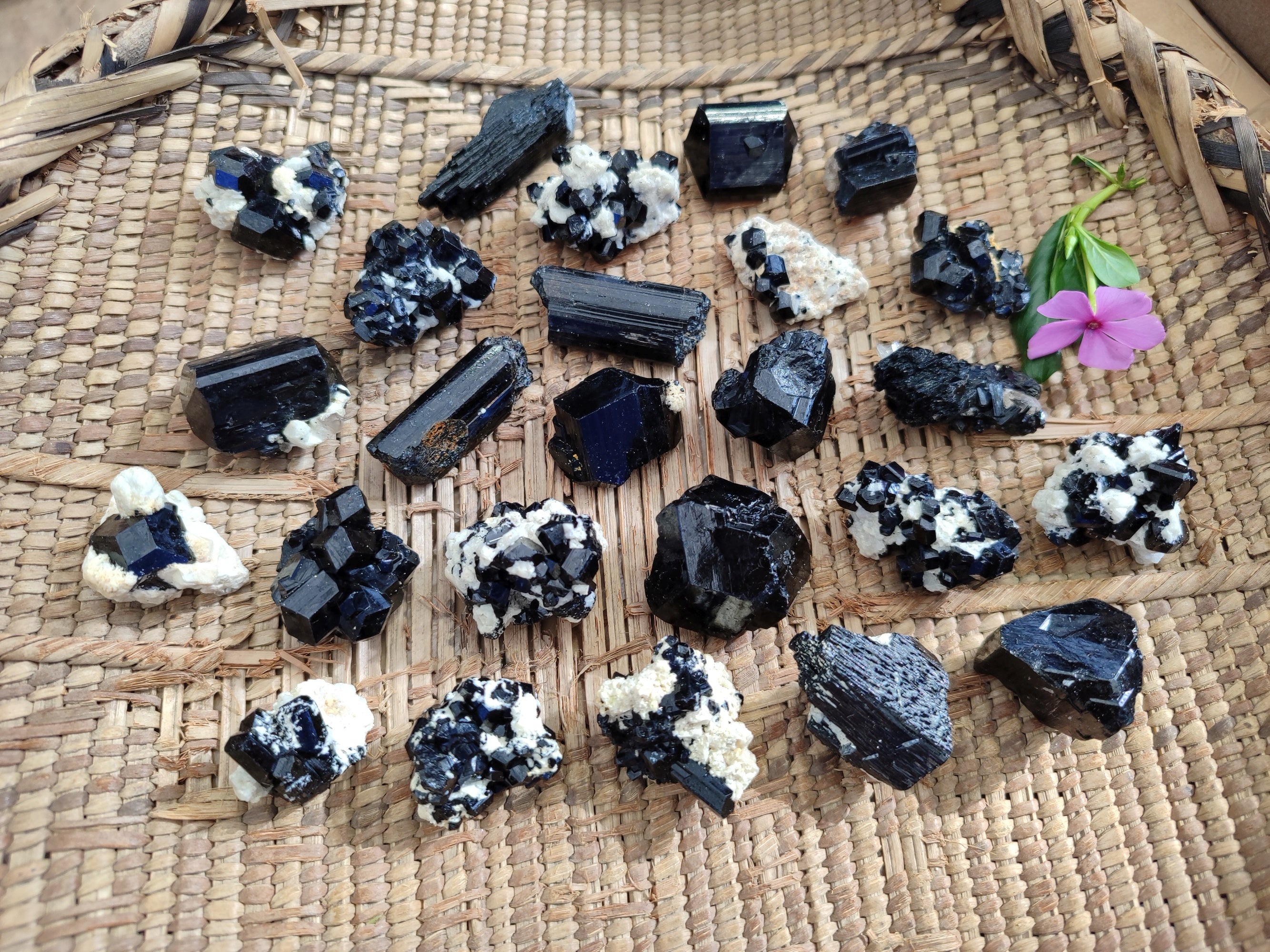 Natural Schorl Black Tourmaline Terminated Crystal Specimens x 70 From Erongo, Namibia - Toprock Gemstones and Minerals 