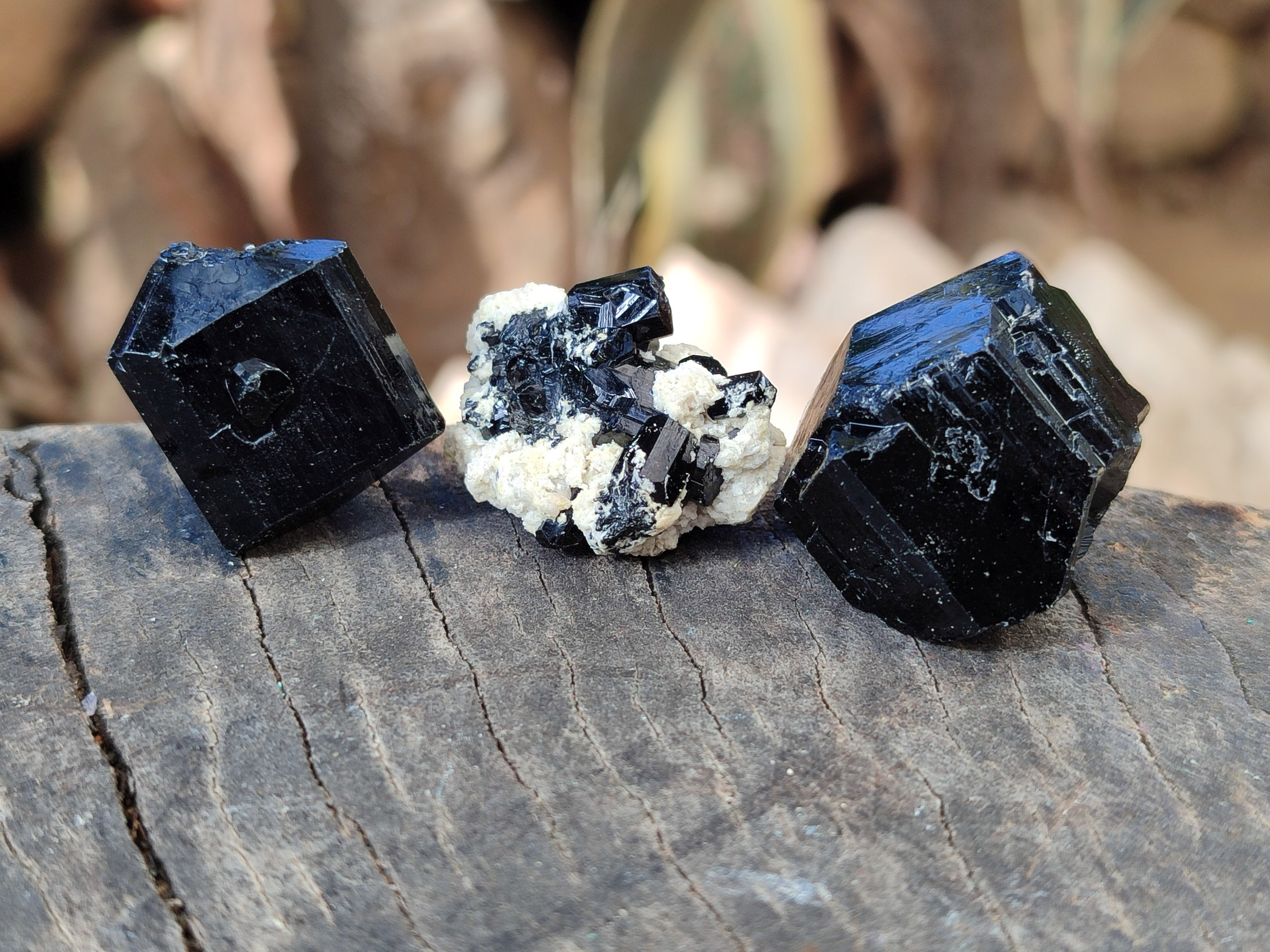 Natural Schorl Black Tourmaline Terminated Crystal Specimens x 70 From Erongo, Namibia - Toprock Gemstones and Minerals 