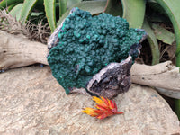 Natural Ball Malachite On Dolomite Matrix Specimen x 1 From Kambove, Congo