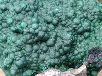 Natural Ball Malachite On Dolomite Matrix Specimen x 1 From Kambove, Congo