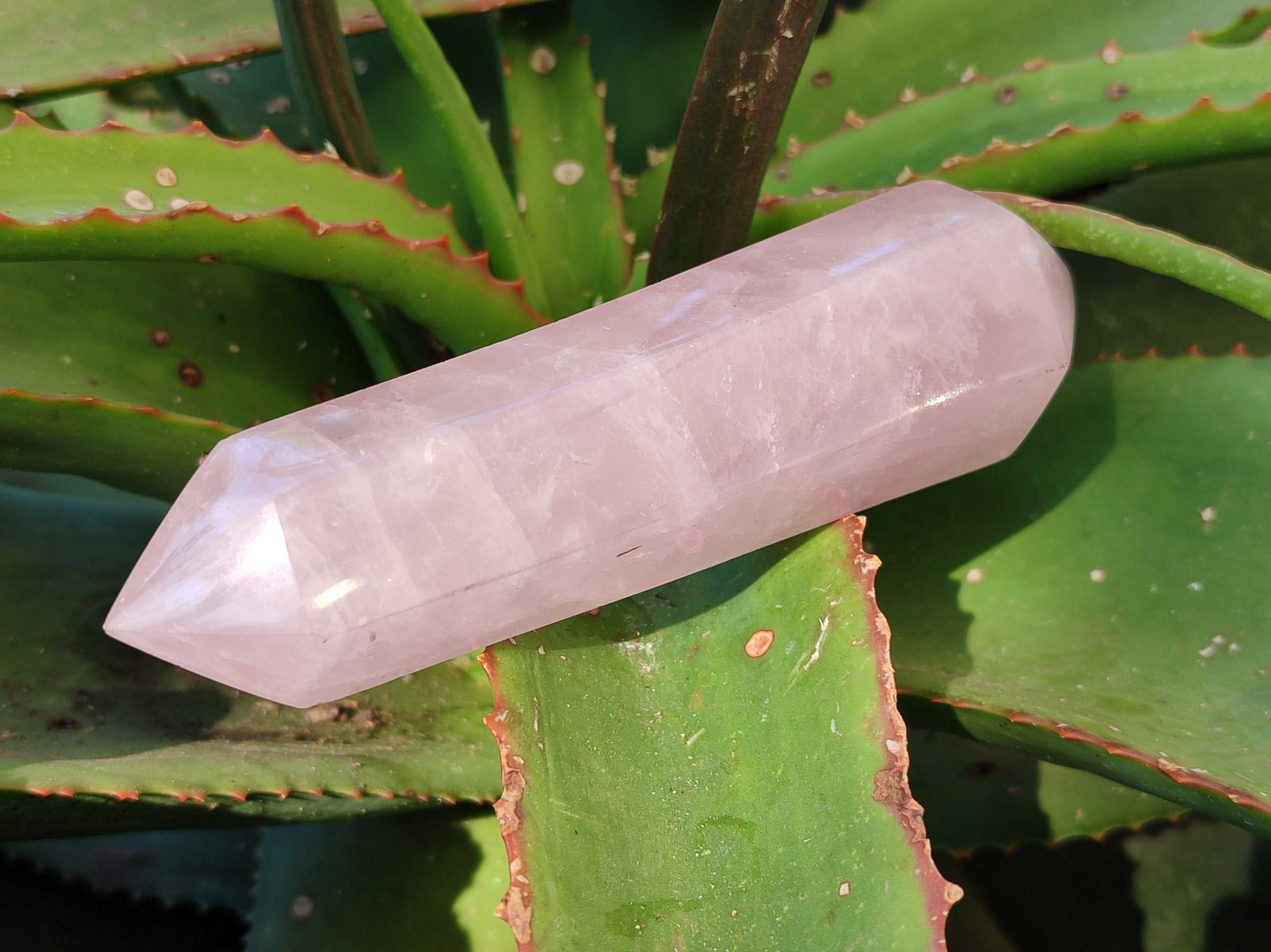 Polished Double Terminated Rose Quartz Points x 6 Ambatondrazaka, Madagascar - Toprock Gemstones and Minerals 