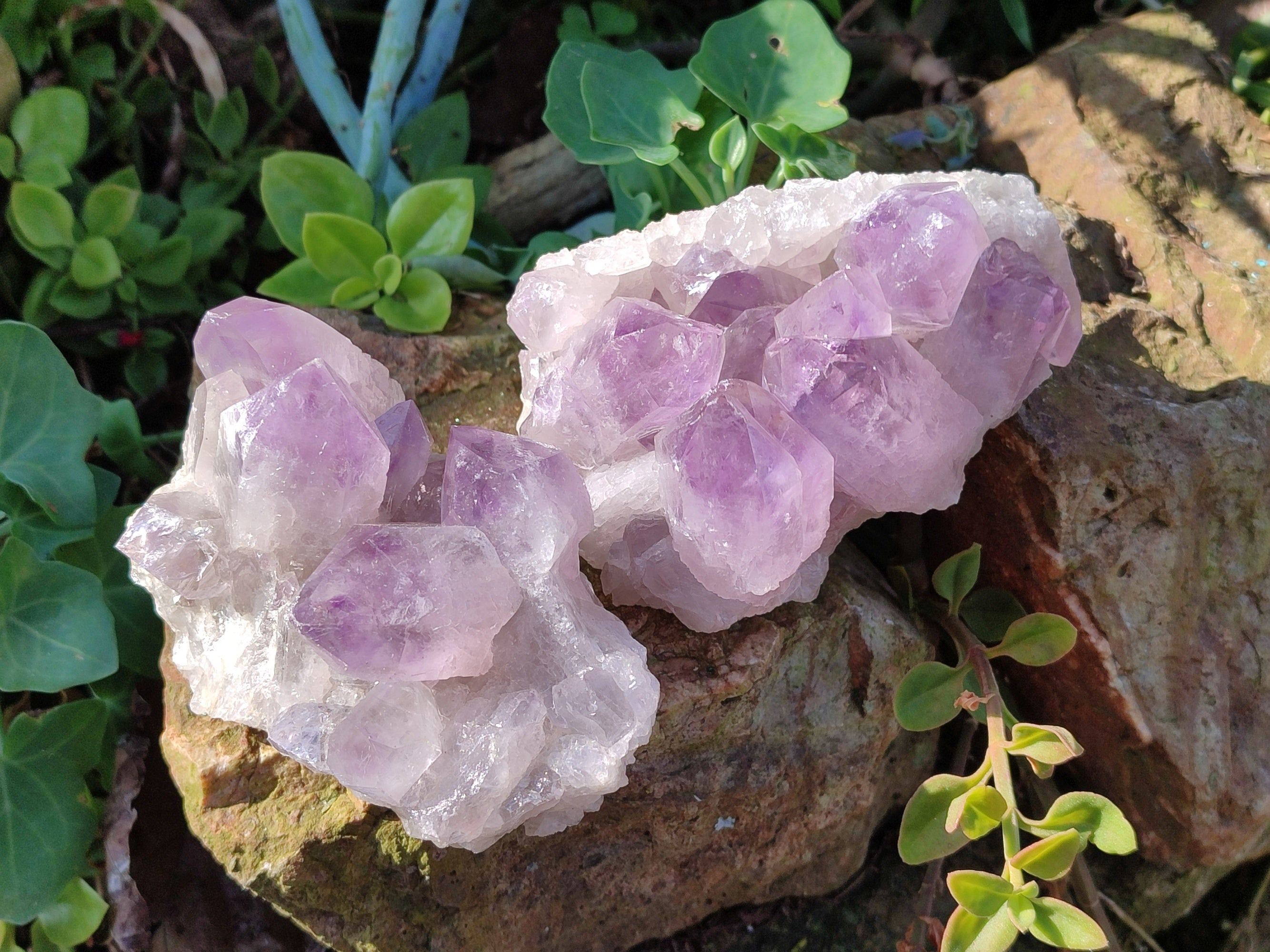 Natural Jacaranda Amethyst Quartz Cluster x 3 From Mumbwa, Zambia - Toprock Gemstones and Minerals 