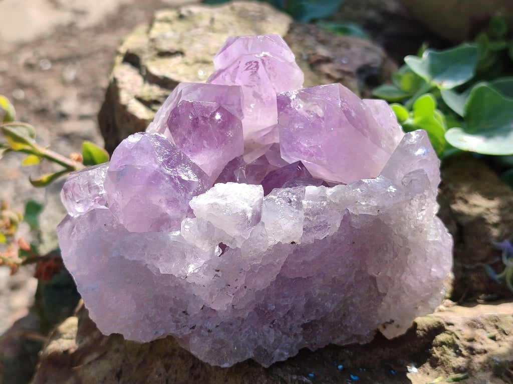 Natural Jacaranda Amethyst Quartz Cluster x 3 From Mumbwa, Zambia - Toprock Gemstones and Minerals 