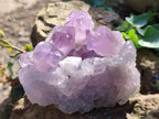 Natural Jacaranda Amethyst Quartz Cluster x 3 From Mumbwa, Zambia - Toprock Gemstones and Minerals 