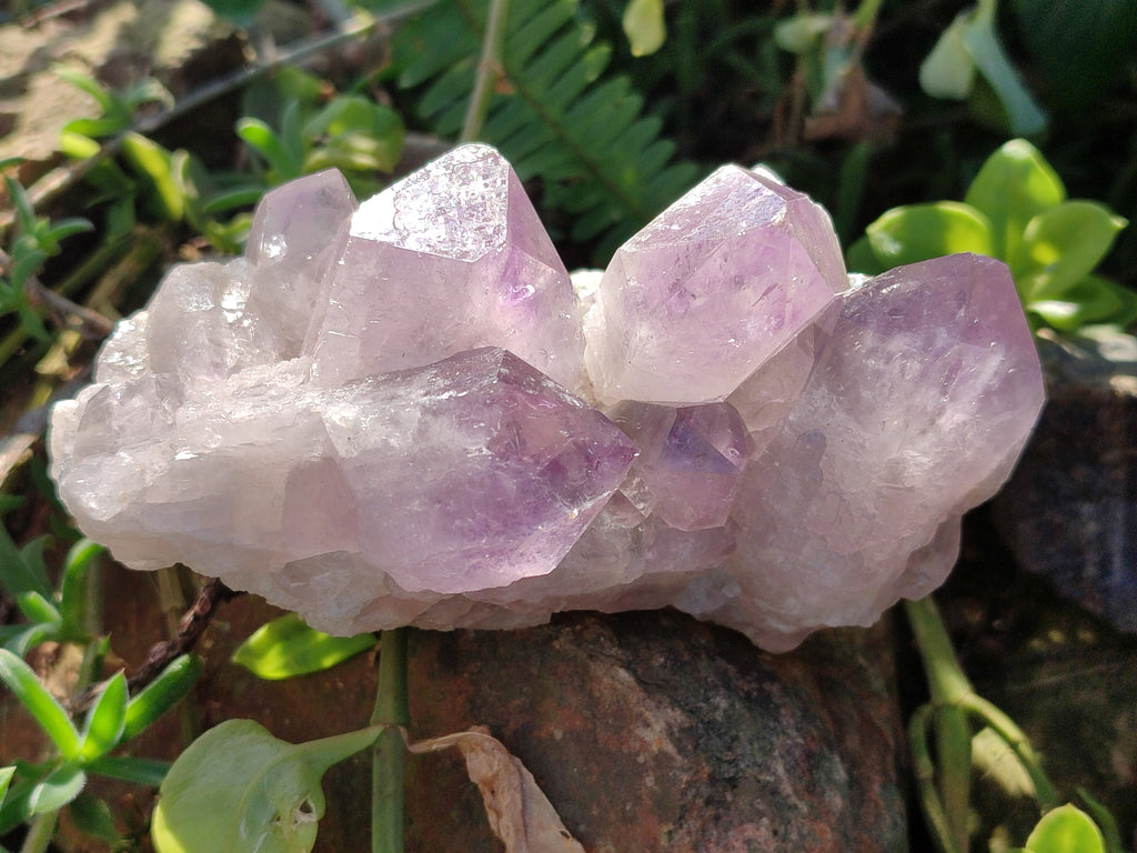 Natural Jacaranda Amethyst Quartz Cluster x 3 From Mumbwa, Zambia - Toprock Gemstones and Minerals 