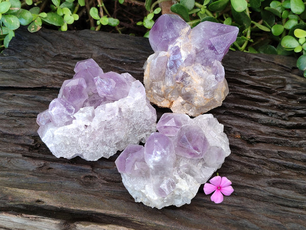 Natural Jacaranda Amethyst Quartz Cluster x 3 From Mumbwa, Zambia