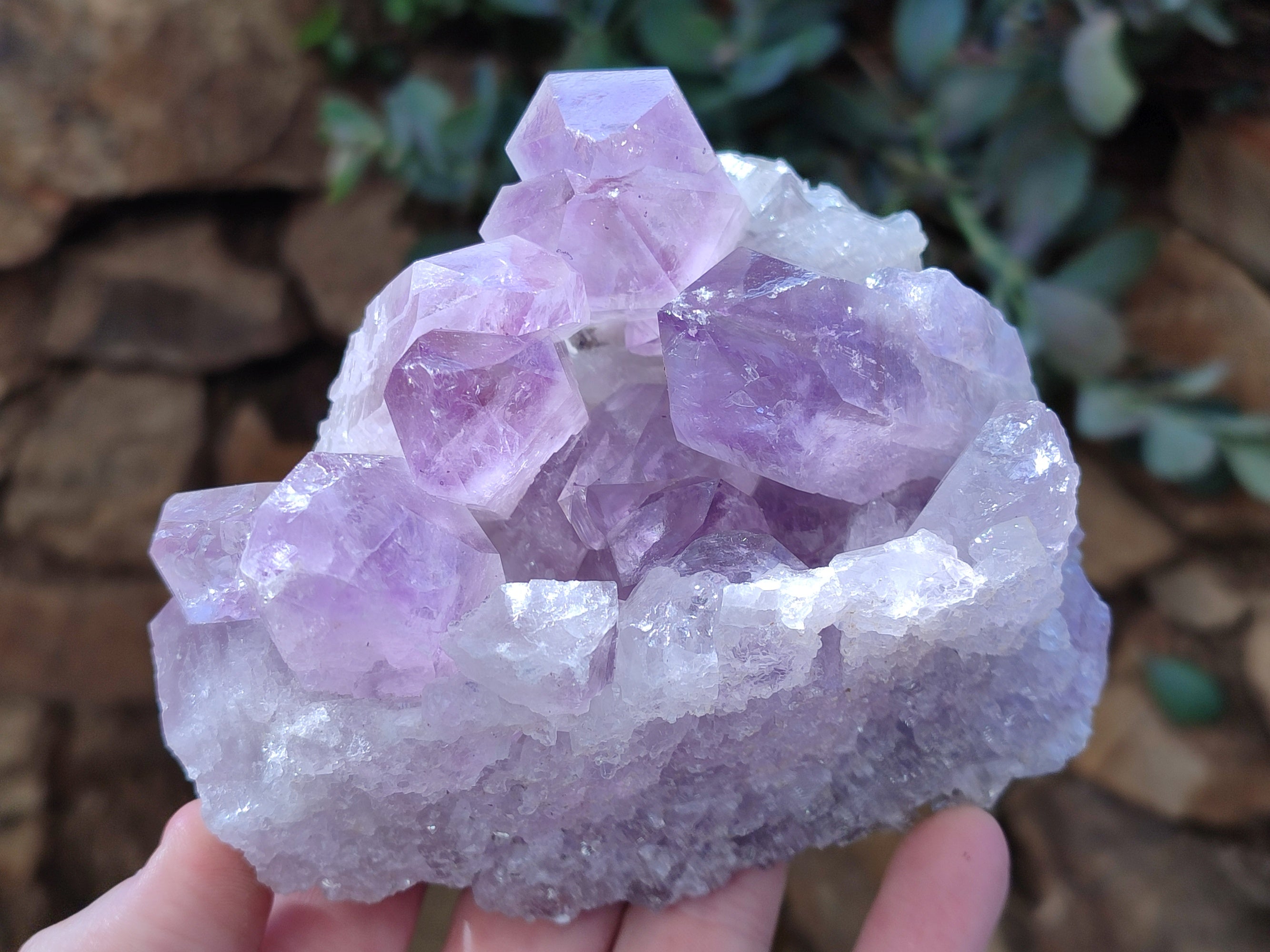 Natural Jacaranda Amethyst Quartz Cluster x 3 From Mumbwa, Zambia - Toprock Gemstones and Minerals 