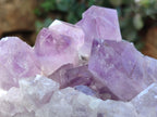 Natural Jacaranda Amethyst Quartz Cluster x 3 From Mumbwa, Zambia - Toprock Gemstones and Minerals 