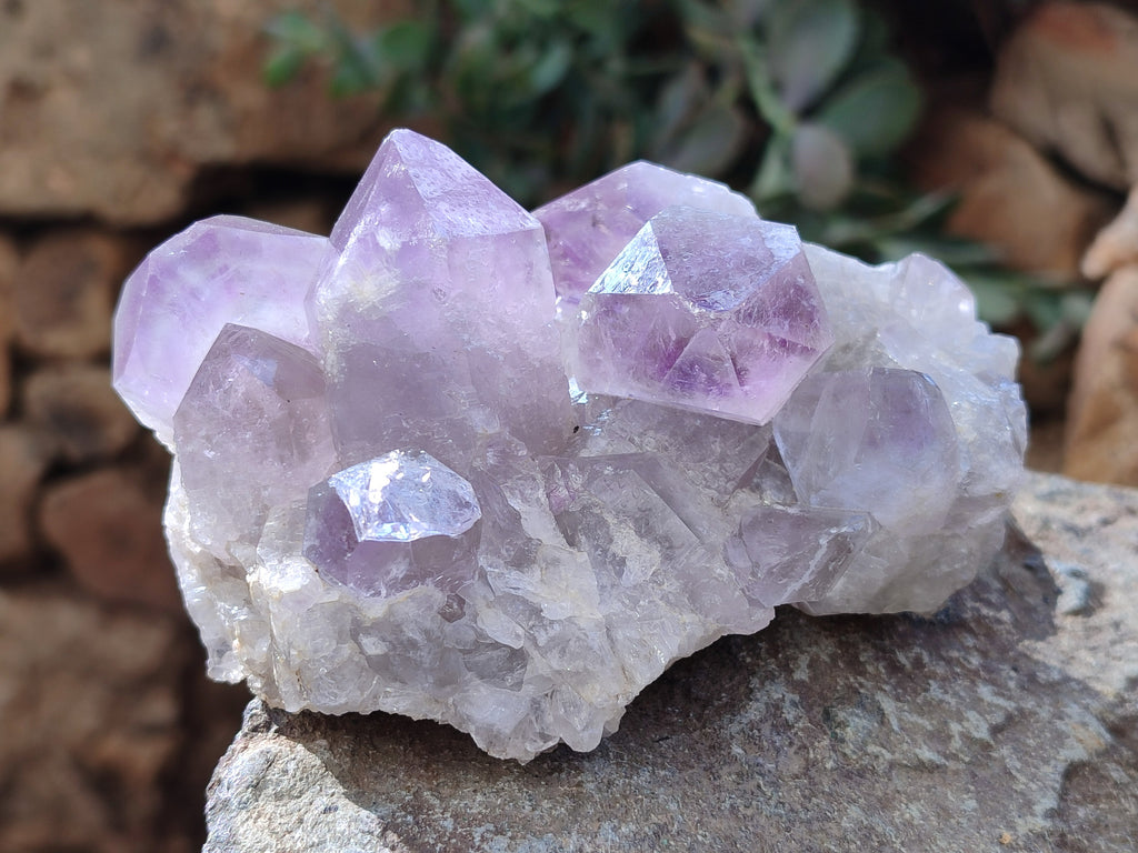 Natural Jacaranda Amethyst Quartz Cluster x 3 From Mumbwa, Zambia - Toprock Gemstones and Minerals 